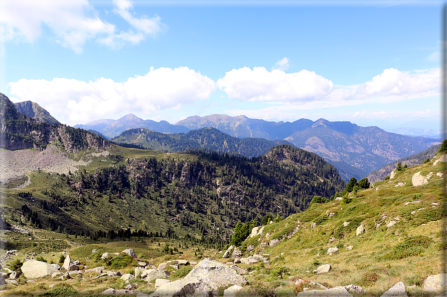 foto Forcella di Montalon